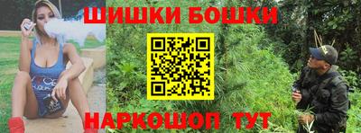 индика Котовск