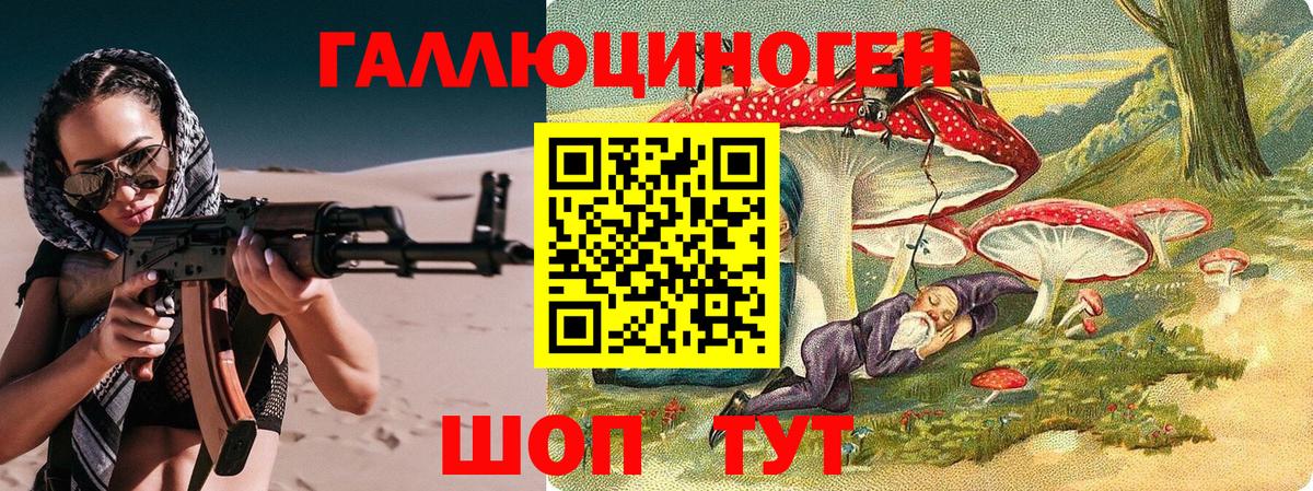 Галлюциногенные грибы Psilocybine cubensis Красноярск