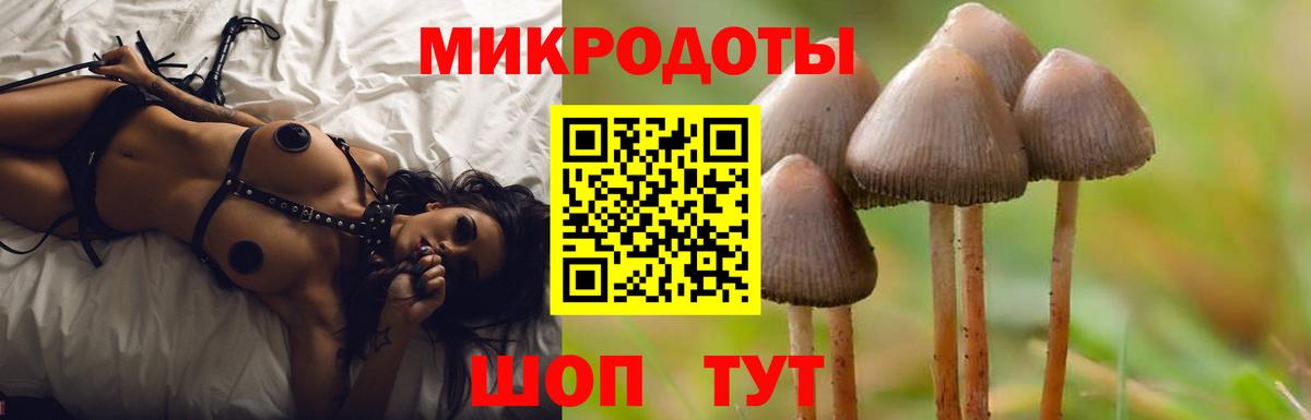 Галлюциногенные грибы Psilocybe  Псилоцибиновые грибы Cubensis  Вход с VPN  Красноярск 